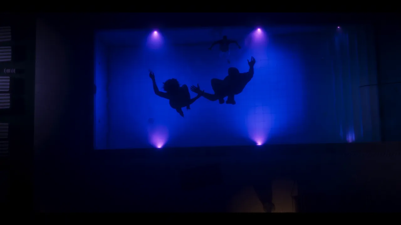 A large blue tank lit by purple spotlights in a dark room, with several swimmer silhouettes.